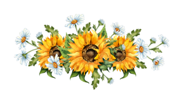 Watercolor illustration of a wreath border of yellow sunflowers and white daisies. Harvest Festival. The border is isolated. Compositions for posters, cards, banners, flyers, covers, placards. png