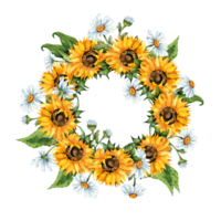 Watercolor illustration of a frame of a wreath of yellow sunflowers and white daisies. Harvest Festival. The border is isolated. Compositions for posters, cards, banners, flyers, covers, placards. png