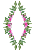 botanique aquarelle fleur cadre.floral frontière clipart png