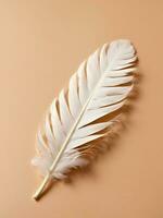 AI generated White feather on a beige background. Flat lay, top view. photo