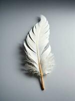 AI generated Closeup of white feather, isolated on light grey background photo