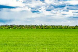 hermoso paisaje de horizonte en la pradera del pueblo sobre fondo natural de color foto