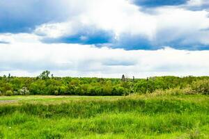 Beautiful horizon scenery in village meadow on color natural background photo