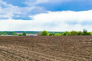 Photography on theme big empty farm field for organic harvest photo