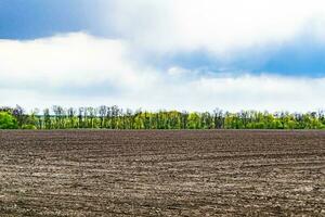 Photography on theme big empty farm field for organic harvest photo