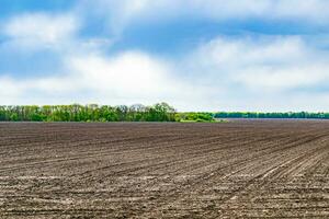 Photography on theme big empty farm field for organic harvest photo