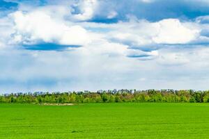 hermoso paisaje de horizonte en la pradera del pueblo sobre fondo natural de color foto