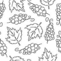 Grape seamless pattern vector