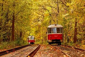 Autumn forest through which an old tram rides Ukraine photo