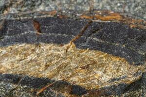 Macro mineral stone Snake eye in the rock a white background photo