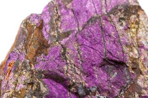 Macro mineral stone purpureus, purple purpurite in the breed a white background photo