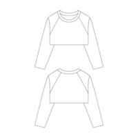 template cropped long sleeve raglan t-shirt vector illustration flat design outline clothing collection