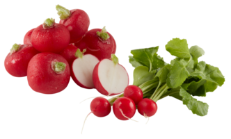 bright red radish cut out isolated transparent background png