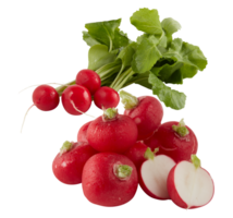 bright red radish cut out isolated transparent background png