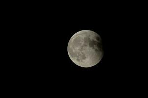 el Luna es visto en el oscuro cielo foto