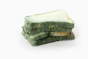 Fungal bread isolated on white background. Biodegradable food waste concept. photo