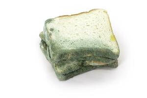 Moldy bread isolated on white background. food waste concept. clipping path included. photo