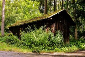 an old wooden shed in the woods photo