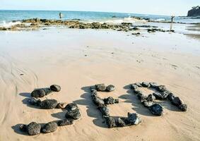 el palabra mar es escrito en el playa con rocas foto