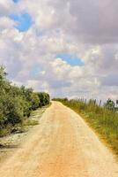 a dirt road with a fence photo