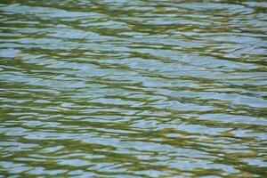 small ripples in the water photo