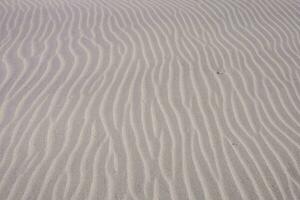 sand dunes with wavy patterns photo