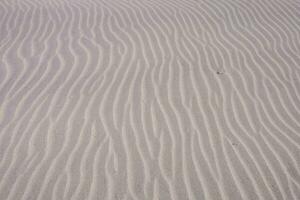 sand dunes with wavy patterns photo