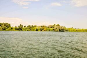 a body of water with trees and grass on the shore photo