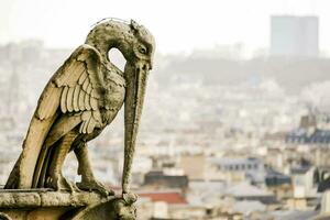 a bird statue on top of a building overlooking a city photo