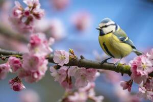 ai generado un bluetit pájaro descansando en el rama de un árbol. ai generado. foto