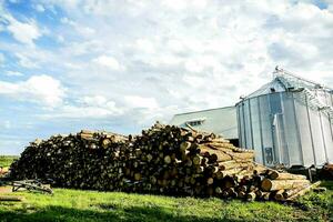 a pile of logs in front of a silo photo