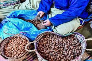 a person is sitting with bags of nuts photo