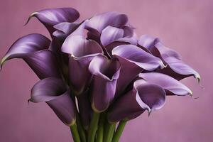 AI generated Bouquet of purple calla lilies against purple background.AI Generated photo