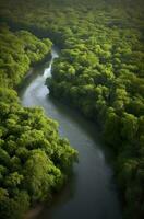 ai generado aéreo ver de el amazonas selva paisaje con río doblar. generativo ai foto