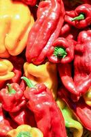 a close up of many red and yellow peppers photo