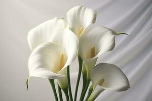 ai generado blanco Boda naturaleza lirio belleza florecer planta flor flora calla. ai generado foto