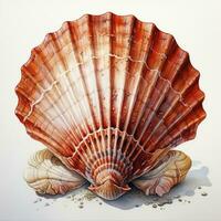 AI generated Watercolor Seashell clipart on white background. AI Generated photo