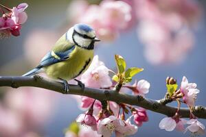 AI generated A Bluetit bird resting on the branch. Eurasian blue tit photo