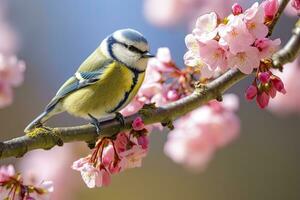 ai generado un bluetit pájaro descansando en el rama. eurasiático azul teta foto