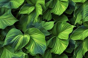 AI generated A plant with lots of large green leaves. AI Generated photo