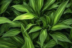 AI generated A plant with lots of large green leaves. AI Generated photo