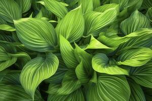 AI generated A plant with lots of large green leaves. AI Generated photo