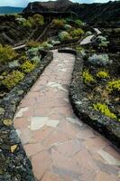 a path in the lava field photo