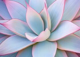 AI generated Agave leaves in trendy pastel colors for design backgrounds. AI Generated photo