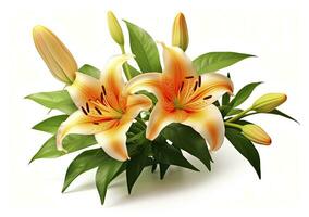 AI generated Beautiful fresh lily flower with green leaves, isolated on white background. AI Generated photo