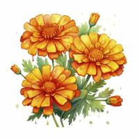 AI generated Watercolor autumn marigold flowers with raindrops on white background. AI Generated photo