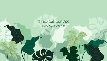 Abstract foliage tropical botanical background vector