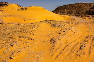 Landscape of sahara desert in Egypt. Conceptual for freedom, enjoying the journey. photo