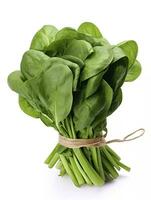 AI generated Bunch of spinach isolated on white background. photo