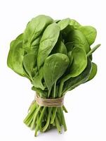 AI generated Bunch of spinach isolated on white background. photo